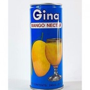 Suco de manga / Gina 240ml